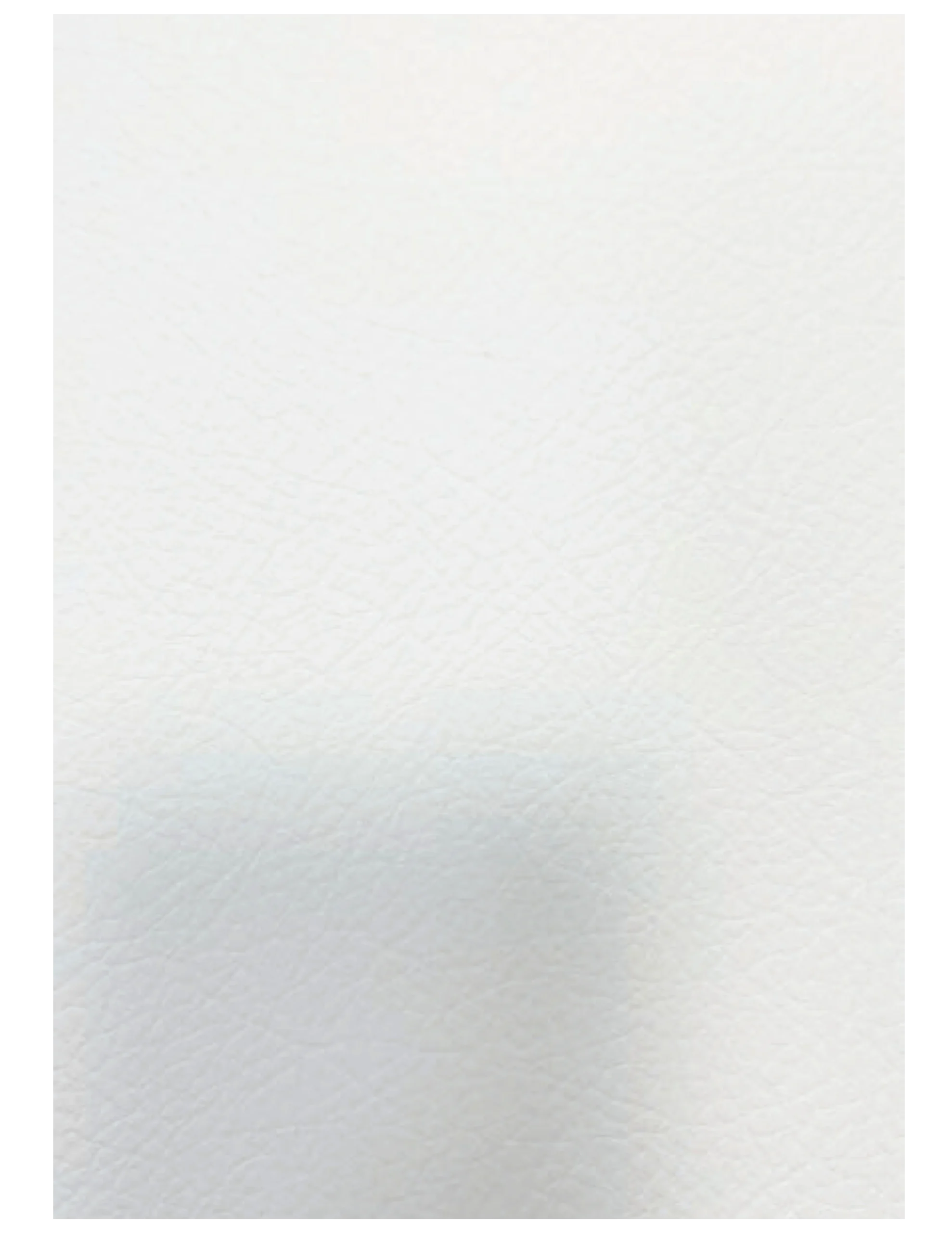 A minimalistic design with a subtle gray geometric shape on a white background.